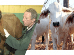 Applied Economic Modelling